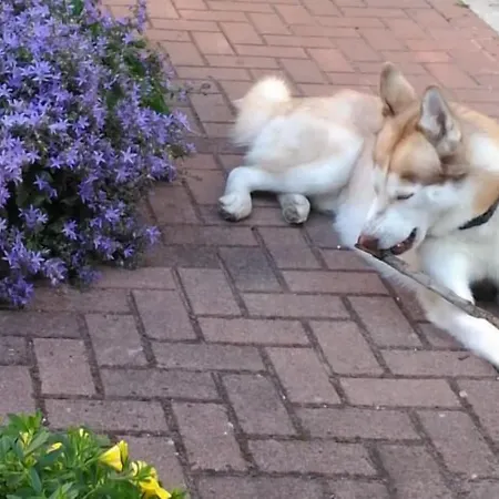 Hotel Meuble Patrizia