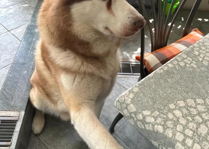 Hotel Meuble Patrizia Grado