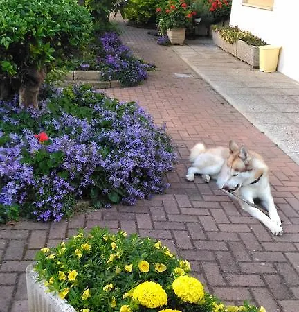 Otel Meuble Patrizia