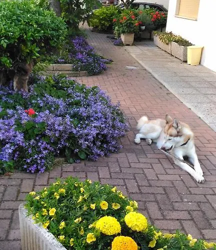 Hotel Meublè Patrizia